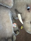 Vintage Mohair Steiff Elephant W tusks 4 5 In 6310 0 1950 s Glass Eyes