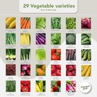 Garden Pack Vegetable Seeds Pouch - 50 Varieties Of Vegetable  Herb   Flower See
