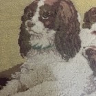 Antique Needlepoint  Stumpwork Plushwork King Charles Cavalier  Spaniel Puppies