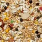 Volkman Avian Science Super Cockatiel No Sunflower Bird Food Seed Mix 4 Lb
