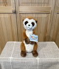 2026 Webkinz Next  Meerkat  W  w  Sealed unused Codes For Next   Classic