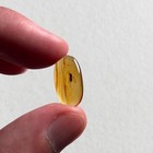 Unknown Fly In Burmese   Burmite Amber Fossil   100  Genuine Amber 