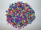 1 2 Lb Tiny Dyed Multi Colored Nassa Sea Shells  Beach  Decor Nautical Craft