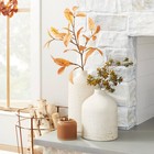 16  Distressed Ceramic Vase Natural Cream - Hearth   Hand With Magnolia