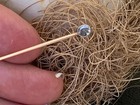 Unique Old Cut Oval Diamond 14k Two-tone Gold Over Solitaire Stick Pin S-2 5 8   