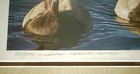2001 Millennium Edition Duck Stamp By Robert Steiner 52 100 Lithograph