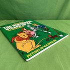 The Wonderful Wizard Of Oz Coloring Book By Frank L Baum  Dover 1974  New
