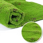 50x50cm Artificial Grass Rug Fake Moss Lawn Turf Mat Garden Decor Au