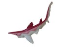 Safari Ltd Dinosaur Toy Prehistoric Shark Mini Pink Scapanorhynchus Highly Rare
