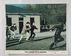 The Lords Of Flatbush  1974  Original 8x10 Still Set     Stallone  Winkler  King