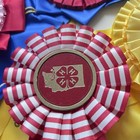Horse Show Ribbons Large Rosettes Lot Of 10 Vintage Awards Blue Red Yellow