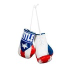 5    Mini Boxing Gloves  White red blue