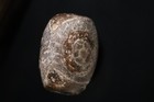     - Pure Dzi - Ancient Napal Himalayan Tibetan Natural Agate Stone Bead