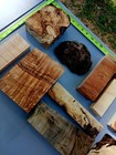 Lot Of Burl Wood  Ambrosia spalted Maple Burl  Epoxy Wood  Craft Wood Curly Wood