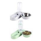 Pet Automatic Feeders 18oz Water Dispenser Bowl For Rabbit Ferret