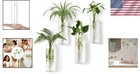 Wall Hanging Glass Propagation Station Cylinder Plant Vase Sets Of 4 Home Decor