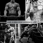 Testosterone Supplement For Men For Muscle Growth  Stamina   Performance