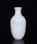 7 6    Old Chinese  Qing Dynasty Pink Color Flower And Bird Patterns Bottle