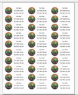 150 Cactus Succulents Desert Sky Mailing Return Address Labels Personalized