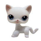  64 Rare Littlest Pet Shop Pink White Short Hair Cat Kitty Blue Eyes Lps