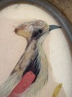 Antique Victorian  Framed Bird Feather Folk Art Feathercraft Watercolor Painting