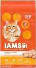 Iams Proactive Health Healthy Adult Dry Cat Food With Chicken For Cat  22 Lb Bag
