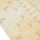 15 Pack Family Tree Charts To Fill In - Off-white Poster Paper - 8 Generation Ge
