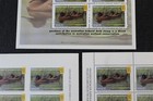 Ckstamps   1996-97 Australia Wetlands Conservation Duck Stamps 3 Sheets Fv 660