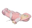 Kids Preferred Pink Baby Doll Lovey W crinkle   Rattle Sounds Plush Stuffed 12   