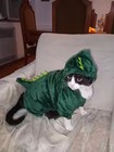 Pet Dog Cat Dinosaur Costume Hoodie Winter Warm Fleece Coat Halloween Size L