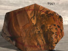 Premium Preform Lot Biggs Jasper Agua Nueva Agate Lapidary Rough Slab Cabbingl27