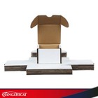 Storage Boxes White Lot 200 Count Ct Sport Cards Trading Max Pro Gaming Shipping