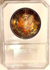 1881-s Gem Bu      Incredible Monster 2 Sided  Rainbow Color Toned Gorgeous