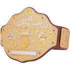 Wwe Big Gold World Heavyweight Championship Replica Title Belt