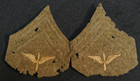 Wwi Us Aas Army Air Service Corporal Winged Propeller Chevrons Rank Pair Damaged