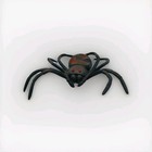 Tarantula Spider Plastic Figure 5    X 6    Toy Model For Diorama Display