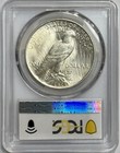 Peace Silver Dollar 1923 Pcgs Ms 63 Uncirculated  1 Coin