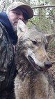 K-9 Carnage Coyote  Bait-trapping  Coyote  Fox