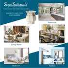 Scentsationals Perfectly Pine Wax Melts  2 5 Oz  4-pack  Holiday Collection