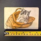 Vintage Kitten In Bag Postcard Antique Cat Illustration Divided Back Used