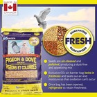 Hagen Pigeon   Dove Seed  Nutritionally Complete Bird Food  Original Version 6lb