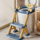 Toddler Potty Training Toilet Seat With Step Stool 2 In 1 Boys Girls Non-slip Pv