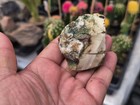 4 2 Oz Mexican Imperial Jasper Rough For Lapidary Or Display