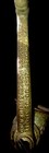  antique  1899 - No  0 Universal Food Chopper L f c New Britain 