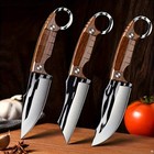 3pcs Multipurpose Fixed Blade Knife Set  Wooden Handle Ring Knives For Kitchen