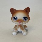 Littlest Pet Shop Lps  37 Husky Dog  Authentic - Hasbro Pink Purple Eyes