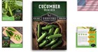 Muncher Cucumber Seeds - Burpless Variety For Easy Digesting   Snacking - 1 Pack