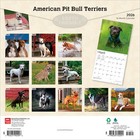 American Pit Bull Terriers   2026 12x24   hanging  Wall Calendar   Plastic-free