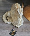 Vintage Windstone Editions Pearlescent Pearl White Lap Dragon Figurine W  Tag