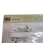 Stampin  Up  Apothecary Art Stamp Set 1   Apothecary Accents Framelits Dies